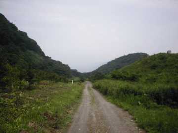 築沢林道