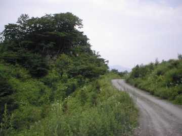 築沢林道
