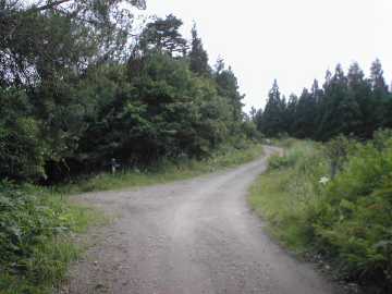 築沢林道