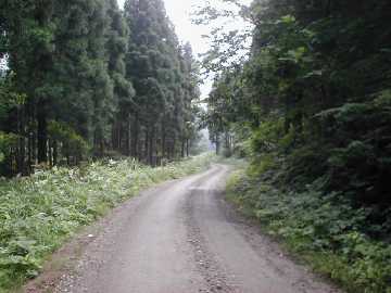築沢林道