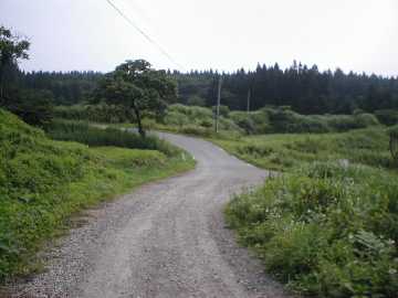 築沢林道