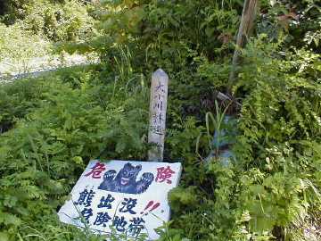 大小川林道
