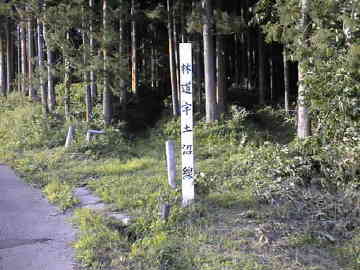 宇土沼林道