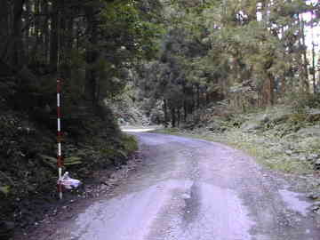 宇土沼林道