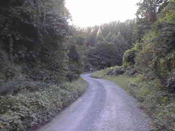 宇土沼林道