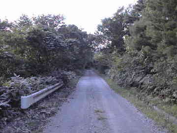 宇土沼林道