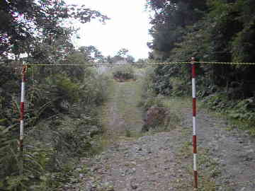 宇土沼林道