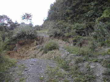 宇土沼林道