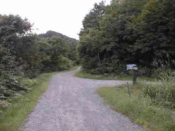 宇土沼林道