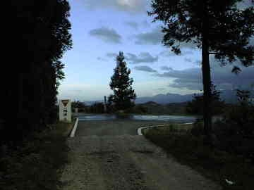 宇土沼林道