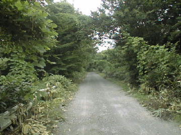 宇土沼林道