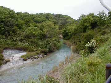 正津川林道