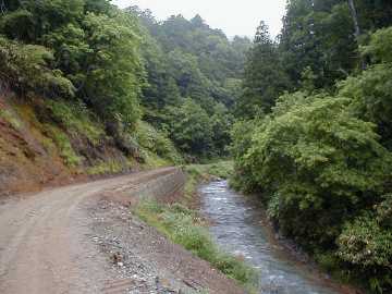 正津川林道