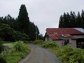 正津川林道
