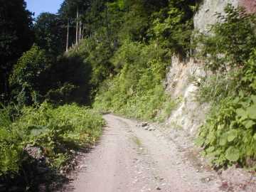 正津川林道