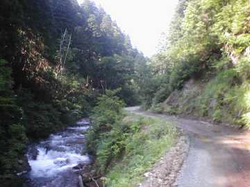 正津川林道