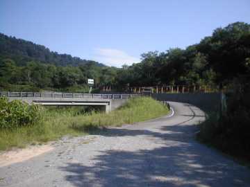 正津川林道