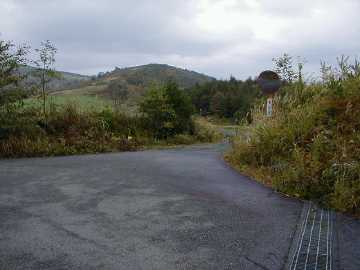 阿原山林道