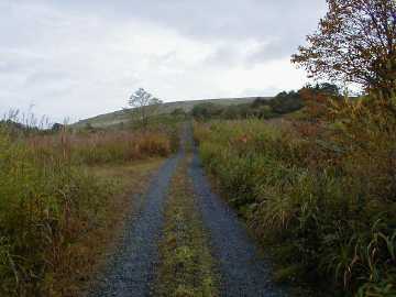 阿原山林道