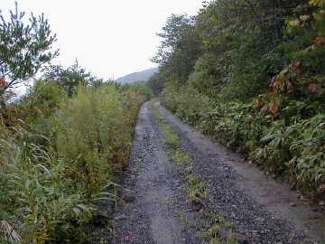 阿原山林道
