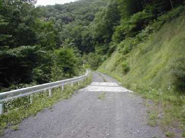 安庭害鷹森林道