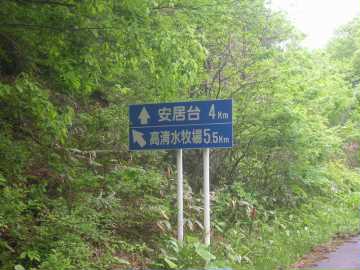 安居台林道