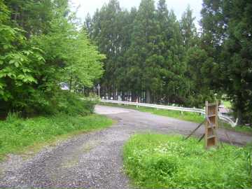 安居台林道