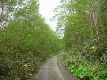 荒川林道