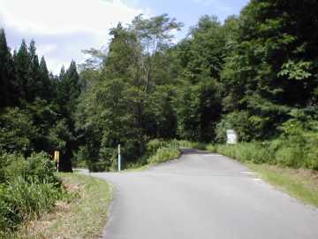 鷹ノ巣山林道(檜原峠、金山峠)