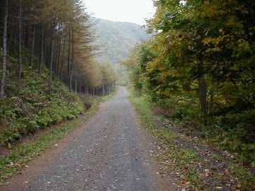 町道早坂1号線