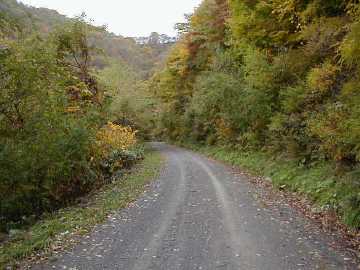 町道早坂1号線