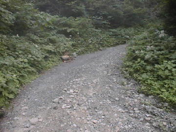 南蔵王林道