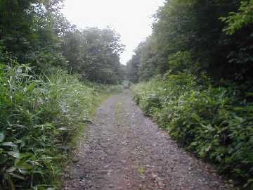 鍵掛峠林道