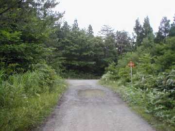 鍵掛峠林道