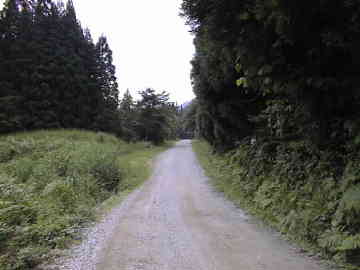西五百川林道(黒鴨林道)