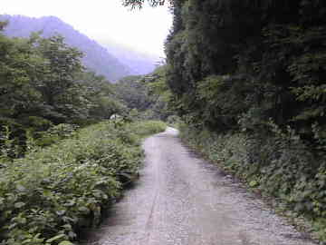 西五百川林道(黒鴨林道)