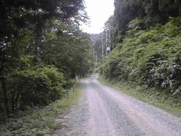 西五百川林道(黒鴨林道)