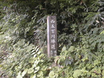 西五百川林道(黒鴨林道)