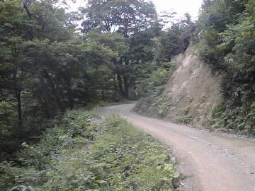 西五百川林道(黒鴨林道)