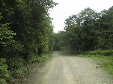 西五百川林道(黒鴨林道)