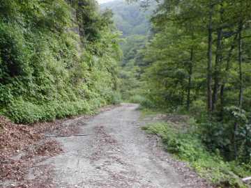 西五百川林道(黒鴨林道)
