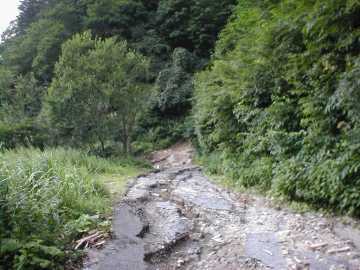 西五百川林道(黒鴨林道)