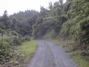 滝沢線