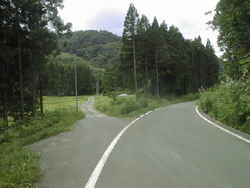 大原林道
