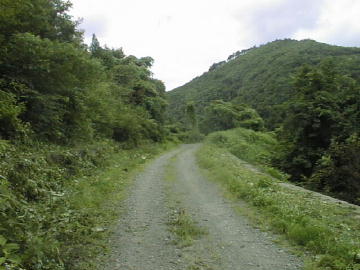 大原林道
