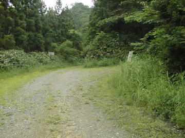 大原林道