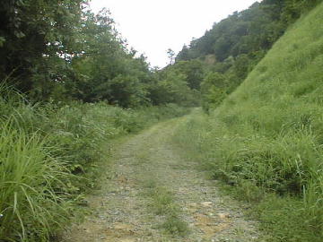 大原林道