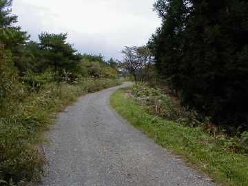 篠倉沢林道