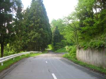 矢崎林道