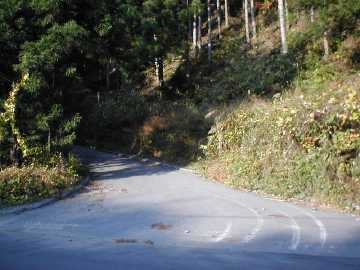 旗宿金山林道